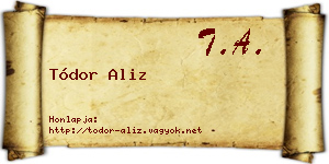 Tódor Aliz névjegykártya